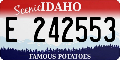 ID license plate E242553
