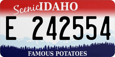 ID license plate E242554