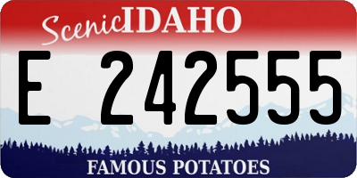 ID license plate E242555