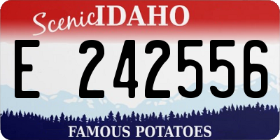 ID license plate E242556