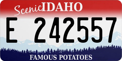 ID license plate E242557