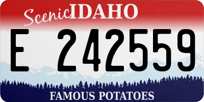 ID license plate E242559