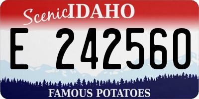 ID license plate E242560