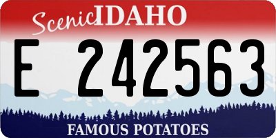 ID license plate E242563
