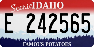 ID license plate E242565