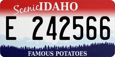 ID license plate E242566