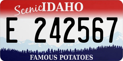 ID license plate E242567