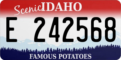 ID license plate E242568