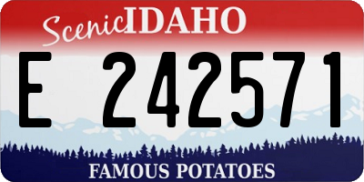 ID license plate E242571