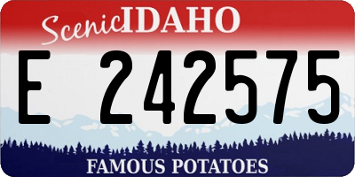 ID license plate E242575
