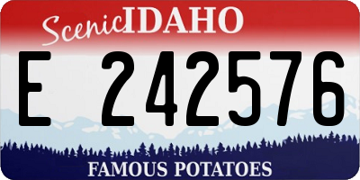 ID license plate E242576