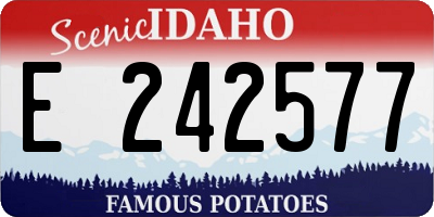 ID license plate E242577