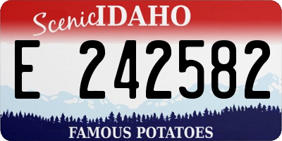 ID license plate E242582