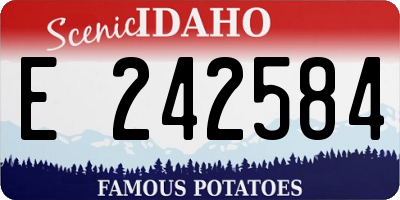 ID license plate E242584