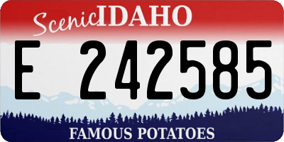 ID license plate E242585