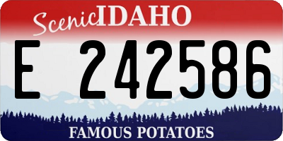 ID license plate E242586