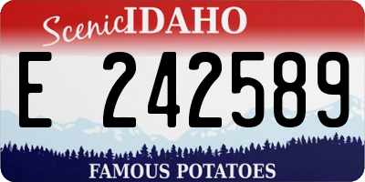 ID license plate E242589