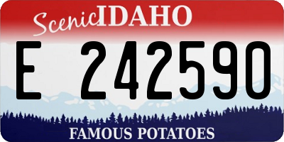 ID license plate E242590