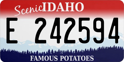 ID license plate E242594