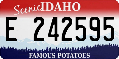 ID license plate E242595