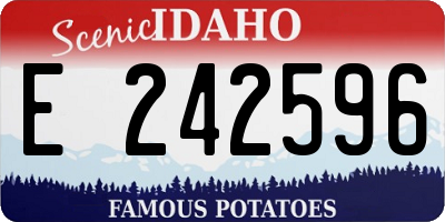 ID license plate E242596