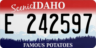 ID license plate E242597