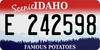 ID license plate E242598