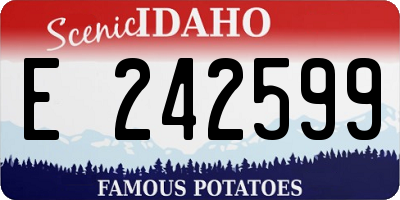 ID license plate E242599
