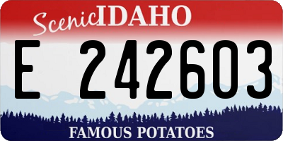 ID license plate E242603