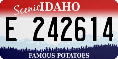 ID license plate E242614
