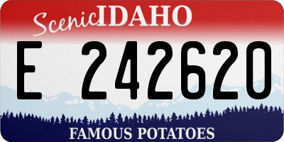 ID license plate E242620