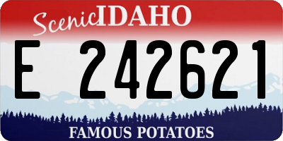 ID license plate E242621