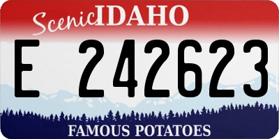 ID license plate E242623