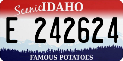 ID license plate E242624