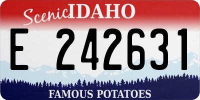 ID license plate E242631