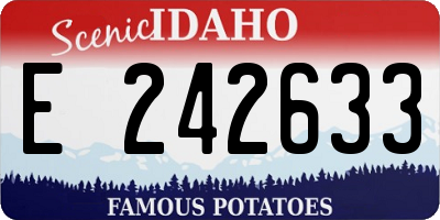 ID license plate E242633