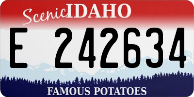 ID license plate E242634