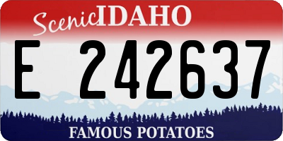 ID license plate E242637