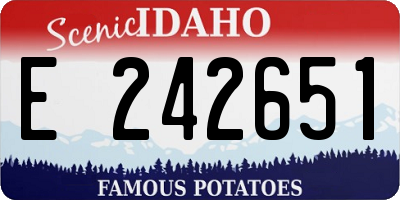 ID license plate E242651