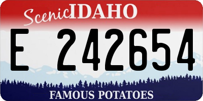 ID license plate E242654