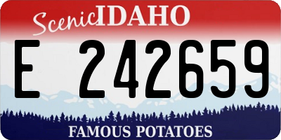 ID license plate E242659