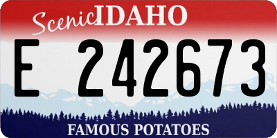 ID license plate E242673