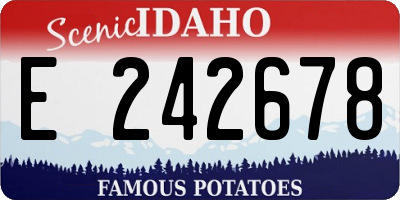 ID license plate E242678