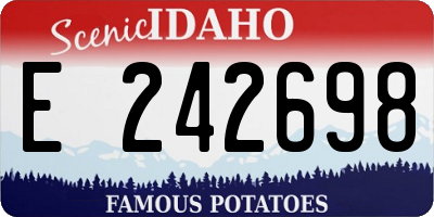 ID license plate E242698