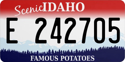 ID license plate E242705