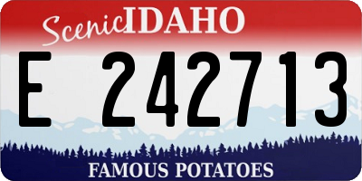 ID license plate E242713