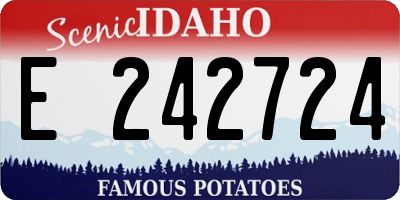 ID license plate E242724