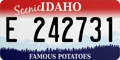 ID license plate E242731
