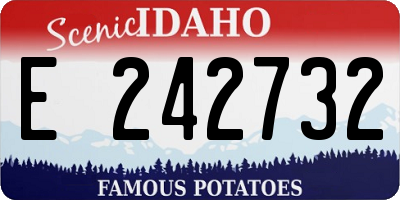 ID license plate E242732