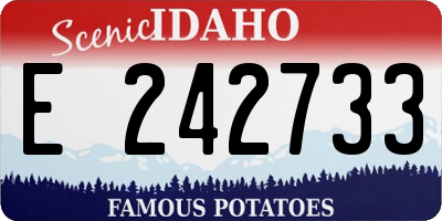 ID license plate E242733